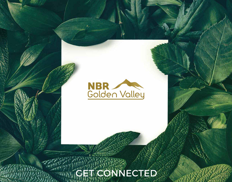 golden-valley brochure